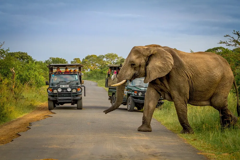 How to Get to Hluhluwe-iMfolozi Park