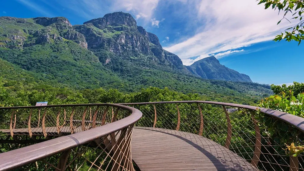 History of Kirstenbosch National Botanical Garden