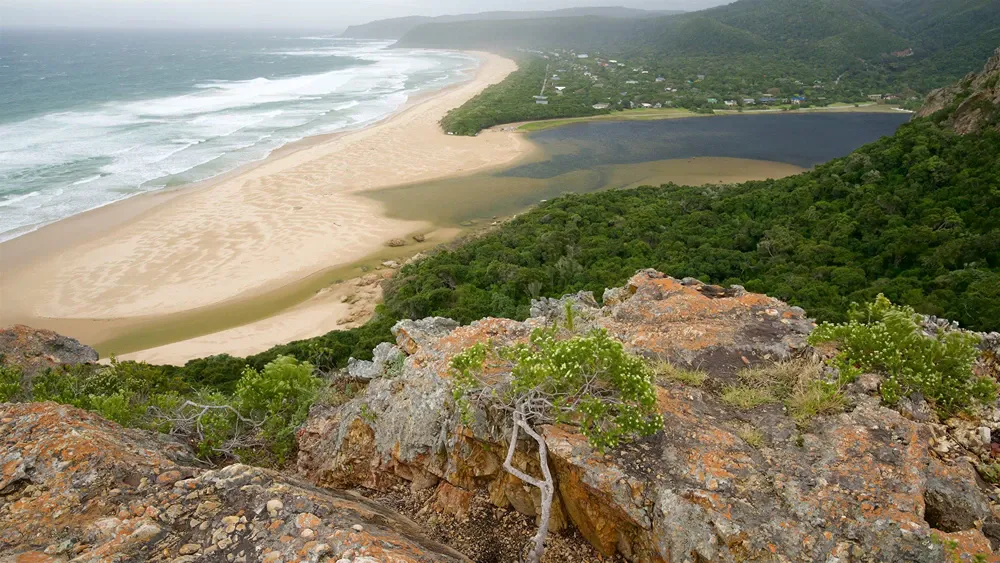 Accommodation Options Near Nature’s Valley Beach