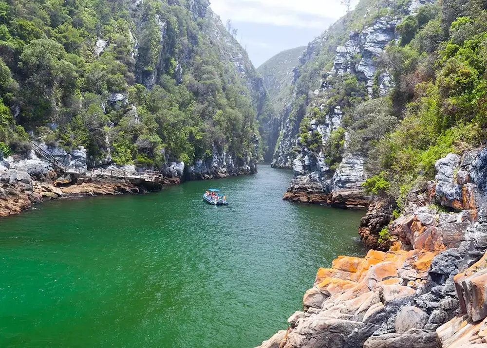 Wildlife and Nature in Tsitsikamma National Park