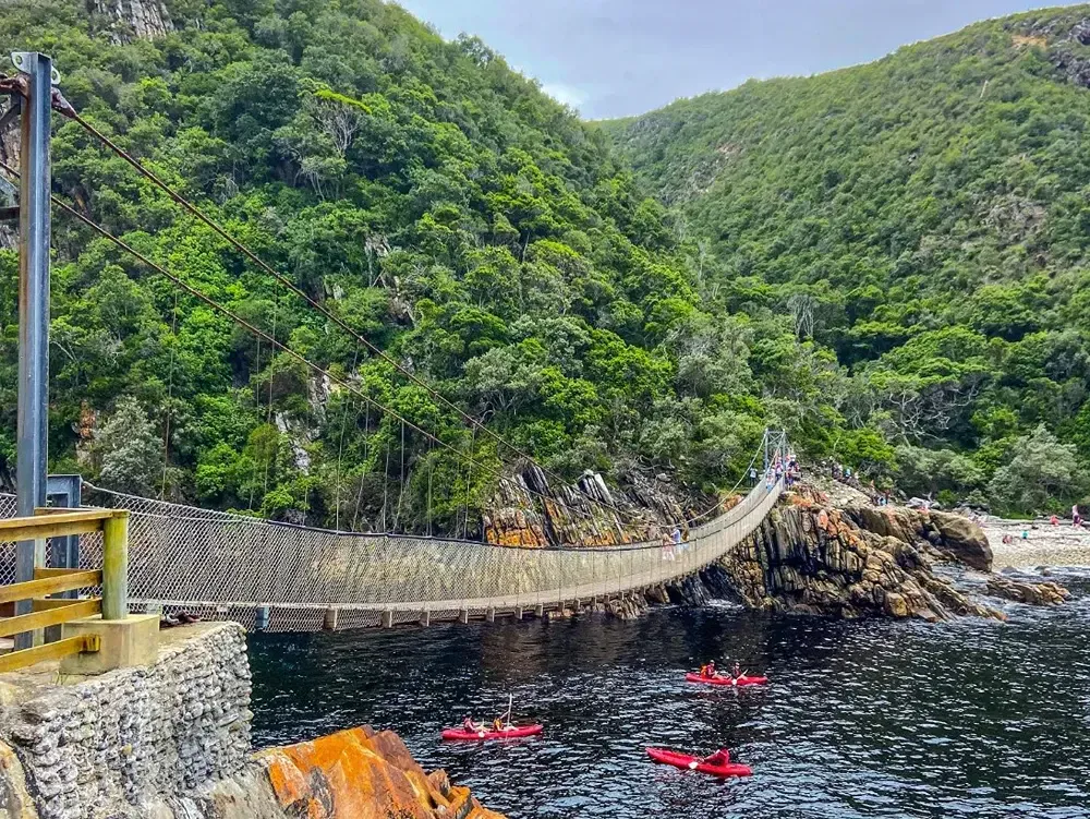 Dining and Nearby Attractions in Tsitsikamma National Park