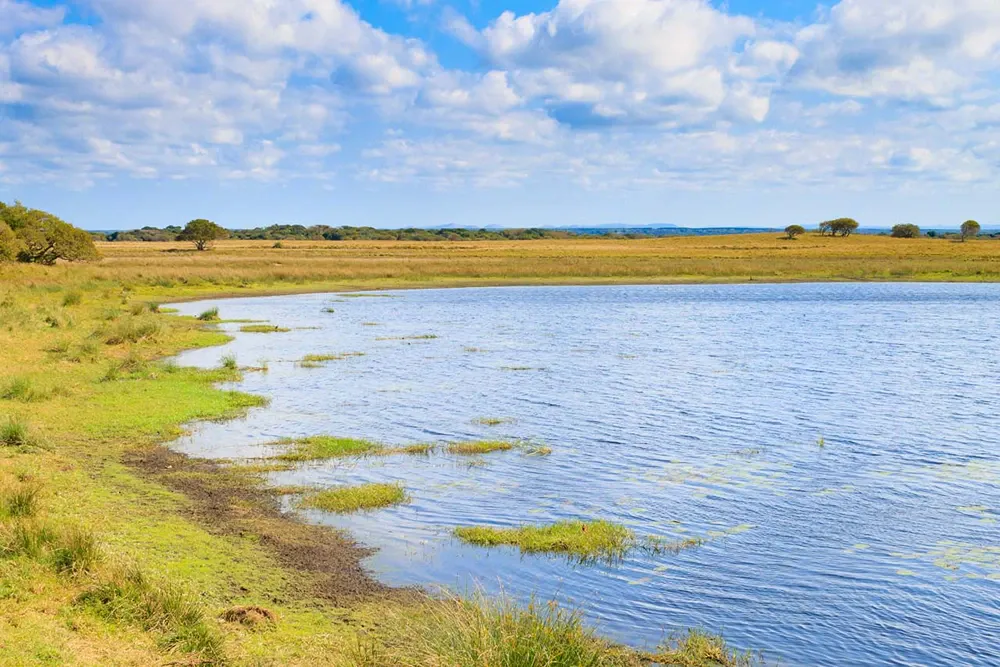 The Rich History of iSimangaliso Wetland Park