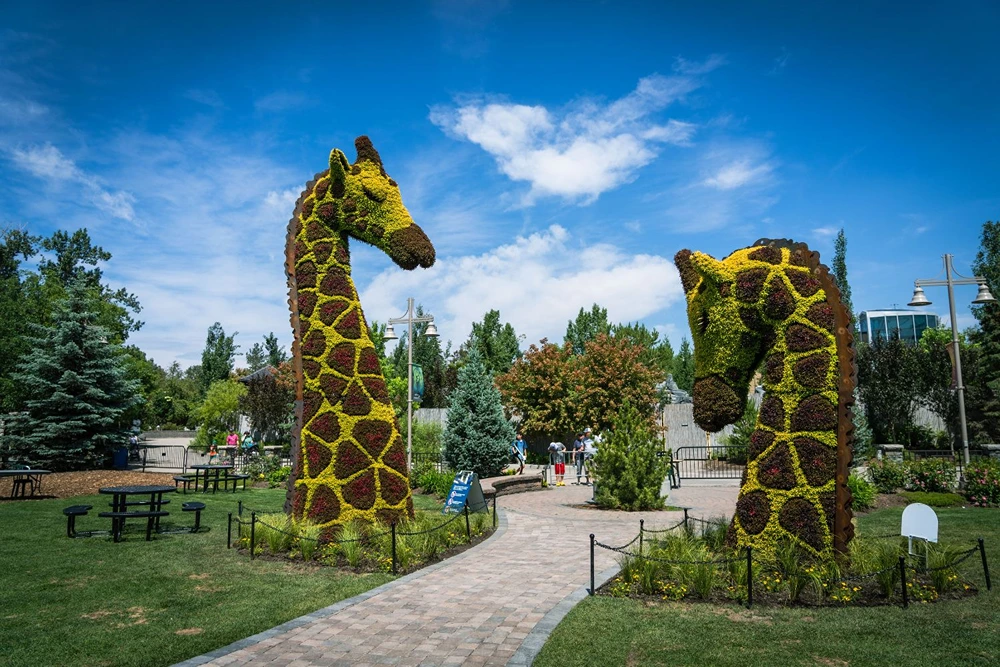Calgary Zoo