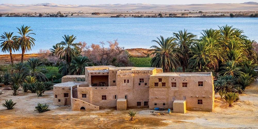 Adventure at the Siwa Oasis