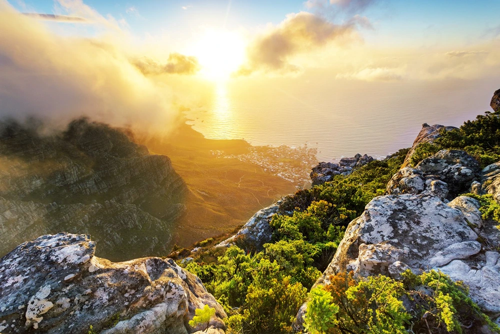 Accommodation Options near Table Mountain