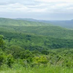 Hluhluwe-iMfolozi Park