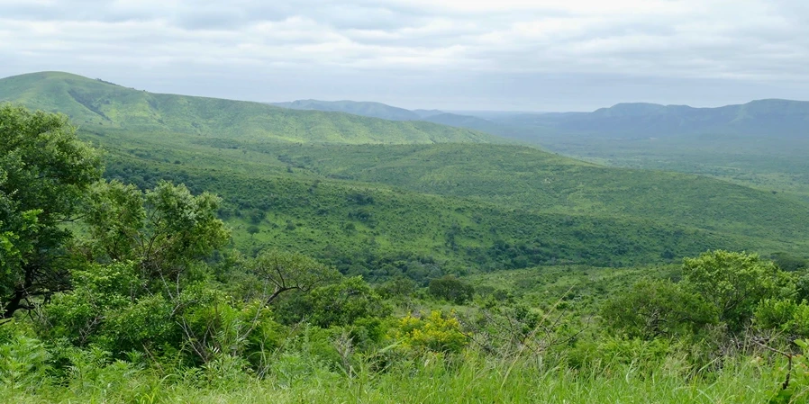 Hluhluwe-iMfolozi Park