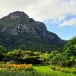 Kirstenbosch National Botanical Garden