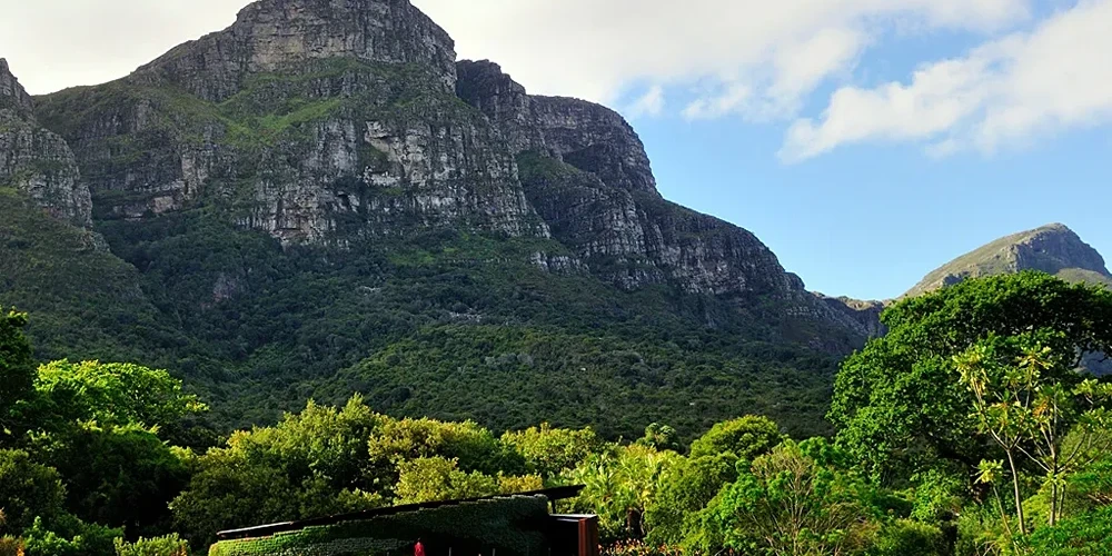 Kirstenbosch National Botanical Garden