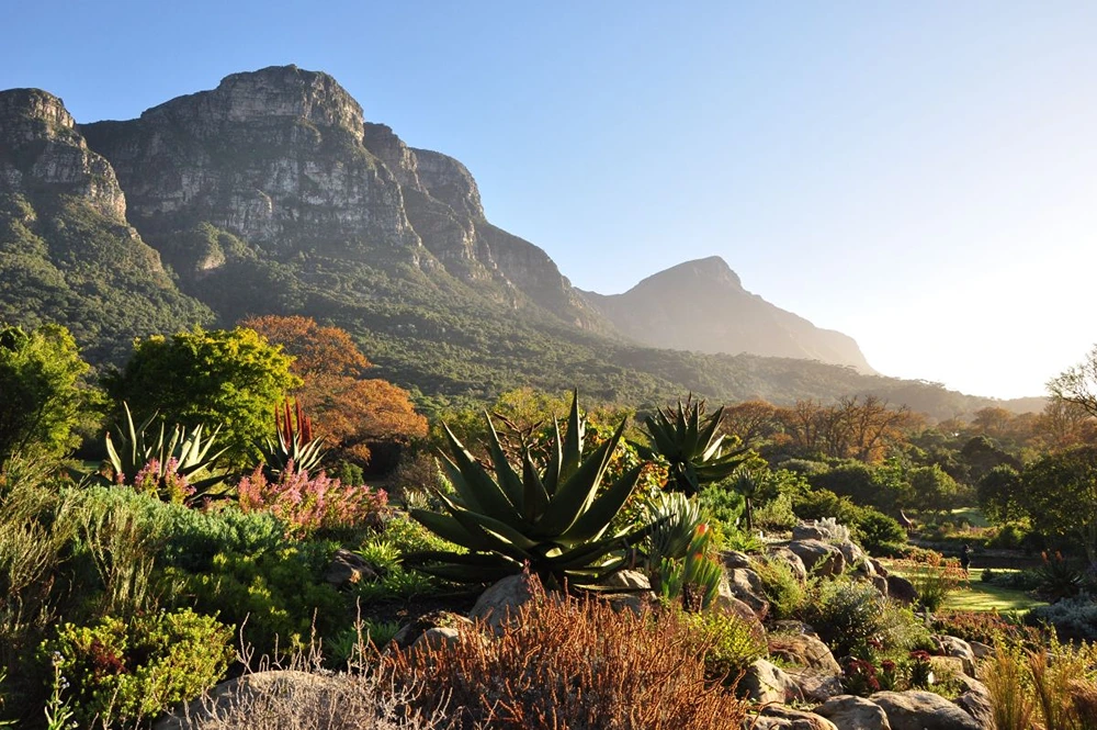 Practical Visitor Information for Kirstenbosch National Botanical Garden