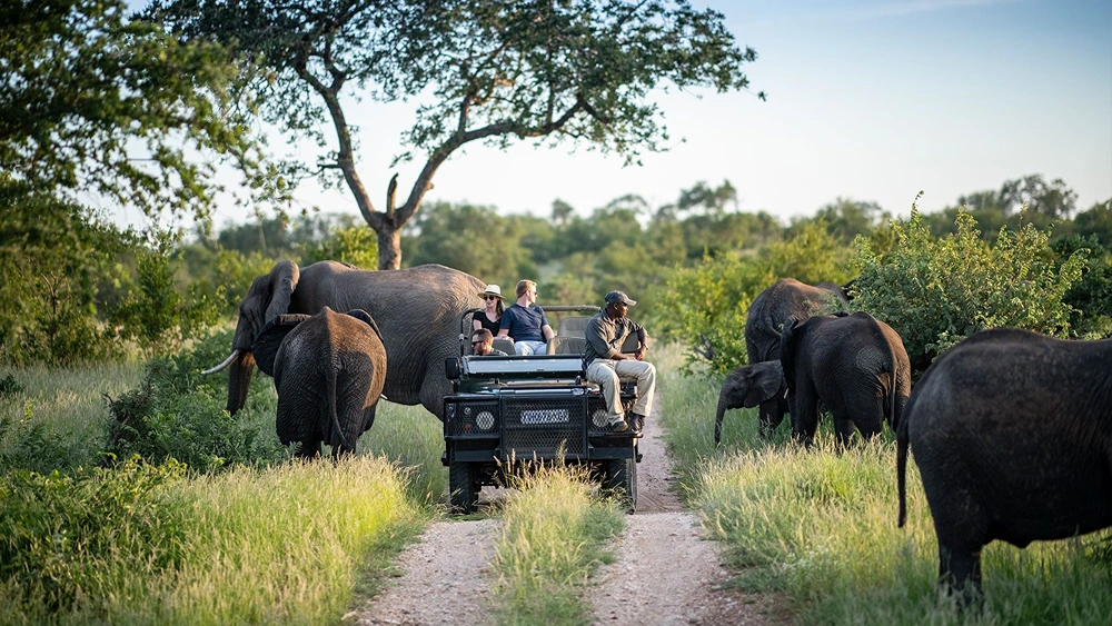 Kruger National Park: The Ultimate Safari Destination