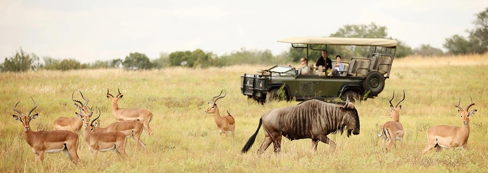 Planning Your Visit to Kruger National Park
