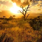 Kruger National Park