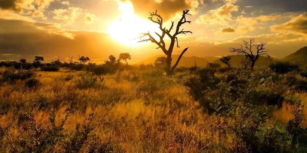 Kruger National Park
