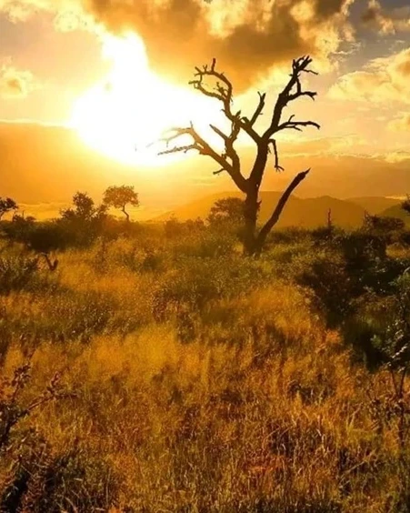 Kruger National Park