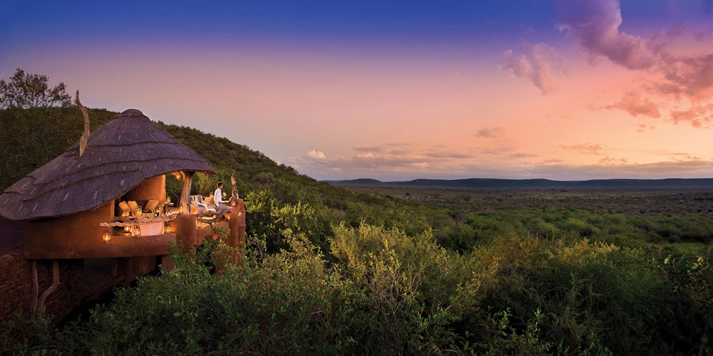 Reviews and Testimonials from Madikwe Game Reserve Visitors