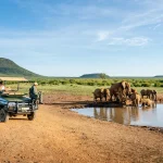 Madikwe Game Reserve