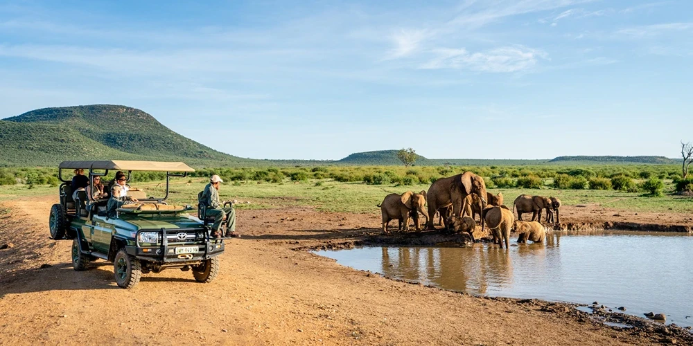 Madikwe Game Reserve