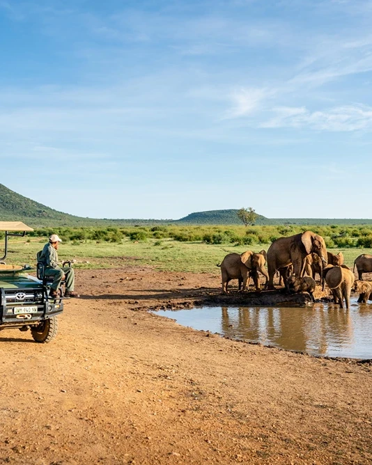Madikwe Game Reserve