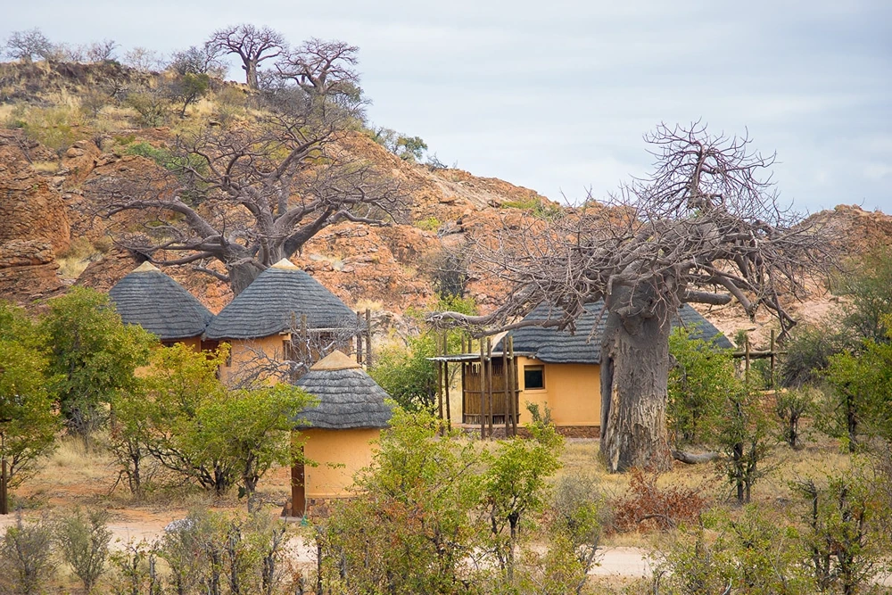 Historical and Cultural Significance of Mapungubwe National Park
