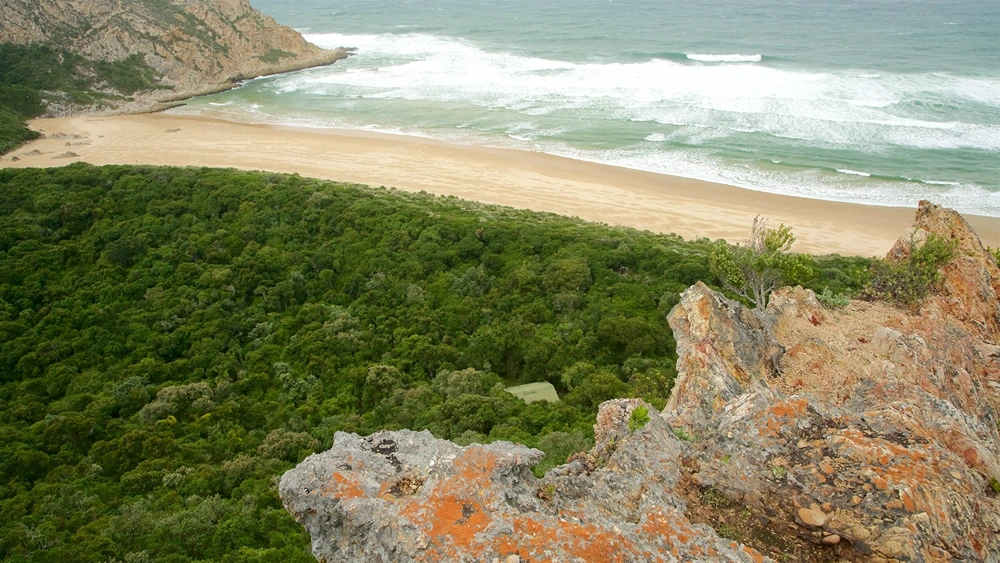 Nearby Attractions and Points of Interest