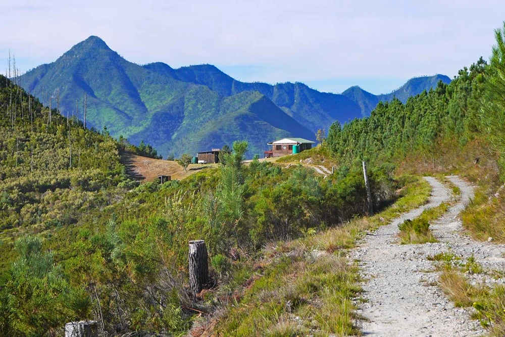 Popular Hiking Trails in the Outeniqua Mountains