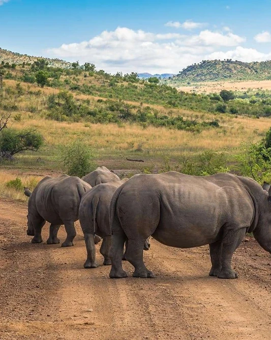 Pilanesberg National Park