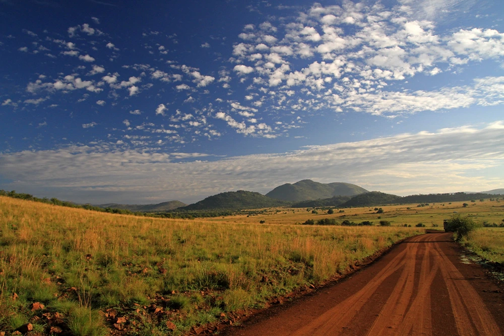 Tips for Visiting Pilanesberg National Park