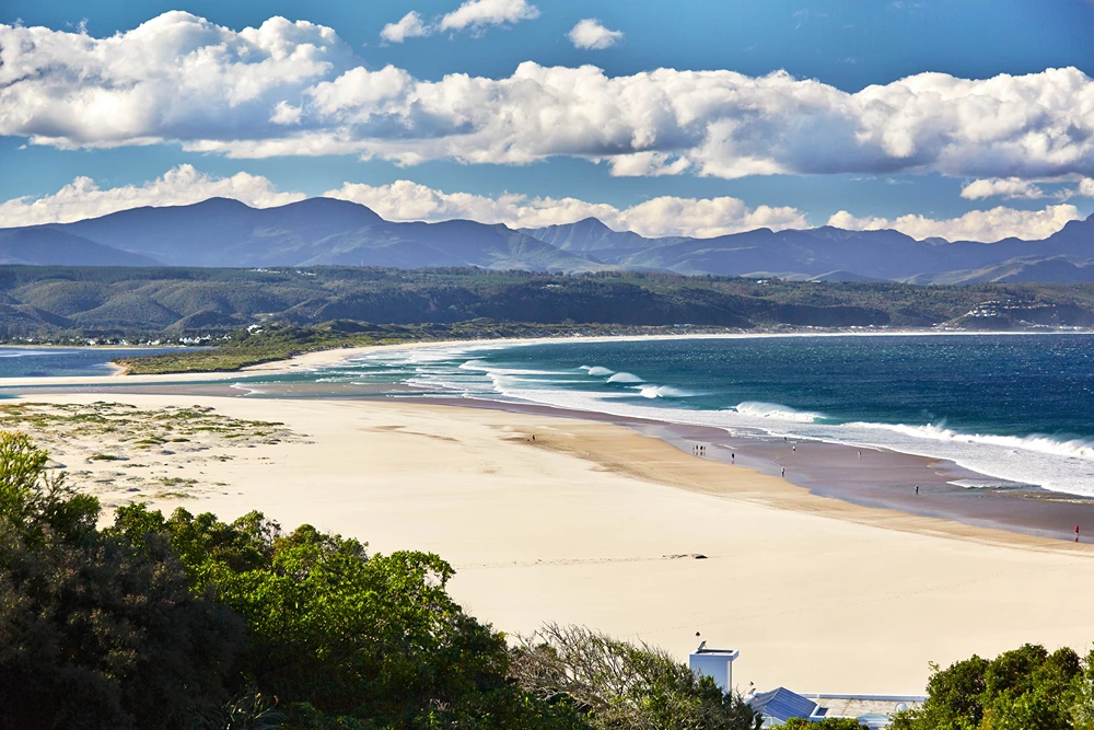 Top Attractions and Activities in Plettenberg Bay