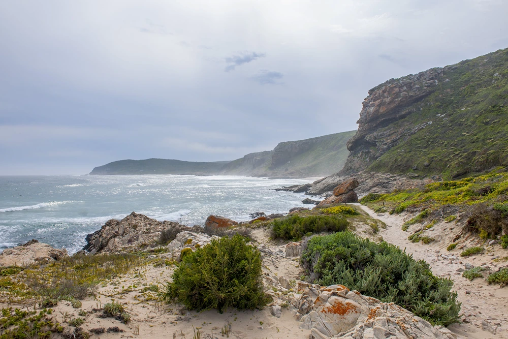 Accommodation Options Near Robberg Nature Reserve