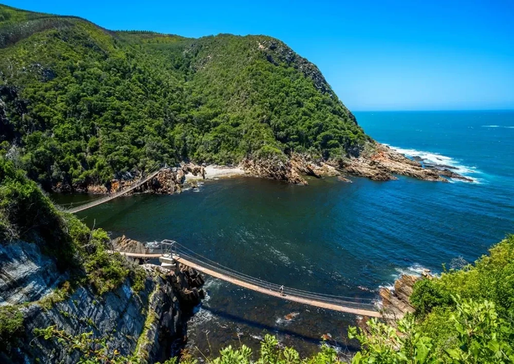 Top Attractions and Activities in Tsitsikamma National Park