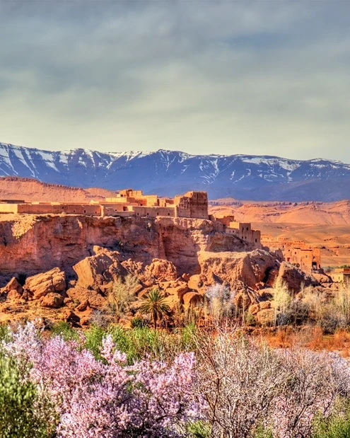 Valley of Roses