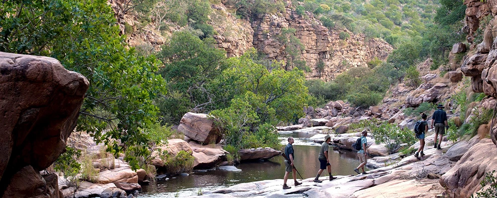 Trails and Activities: Best Hikes and Fun Options