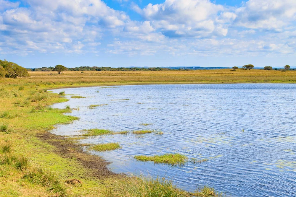The Rich History of iSimangaliso Wetland Park