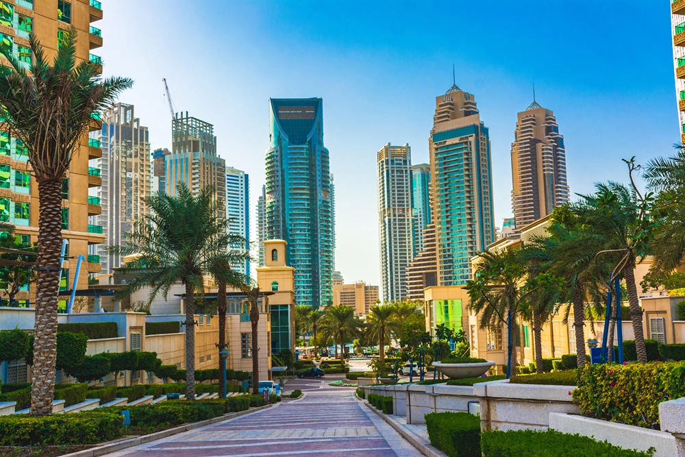 Getting Around in United Arab Emirates